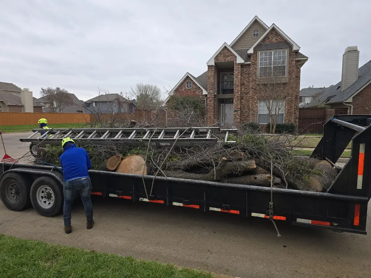 Expert Tree Fertilization with proper safety equipment in Balmorhea